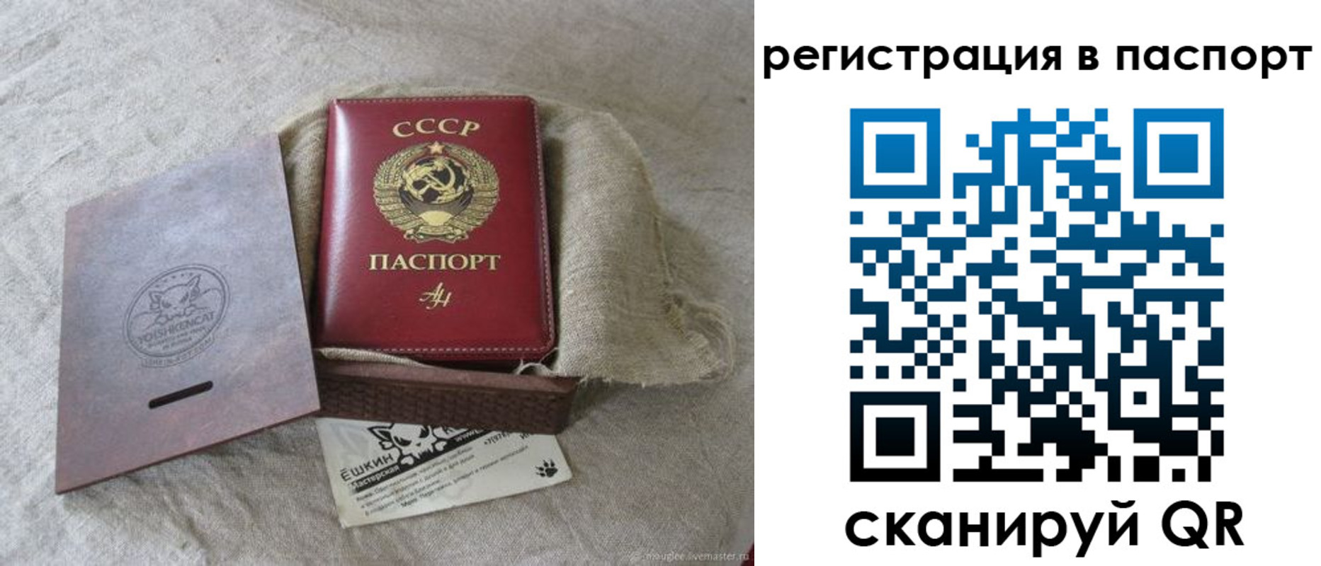прописка регистрация в Камчатском крае